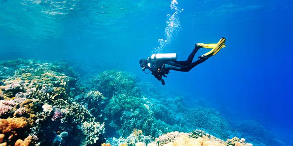 Diving sessions in the northern coast of mauritius pereybere (5)
